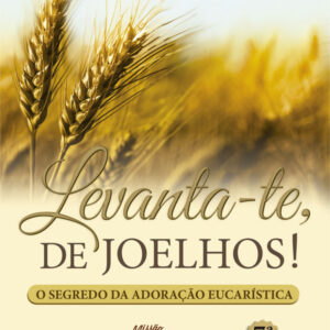 LEVANTA-TE DE JOELHOS!